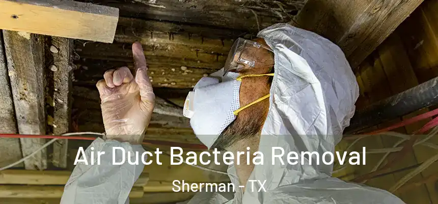  Air Duct Bacteria Removal Sherman - TX