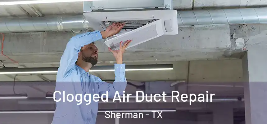  Clogged Air Duct Repair Sherman - TX