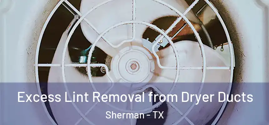  Excess Lint Removal from Dryer Ducts Sherman - TX