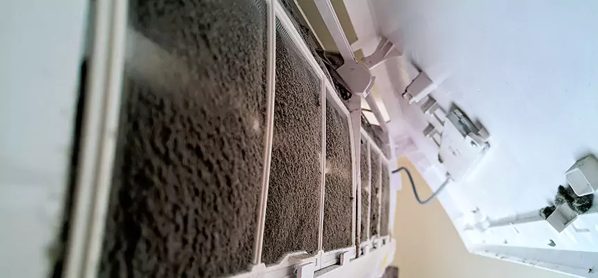 Preventive Air Duct Bacteria Removal in Sherman