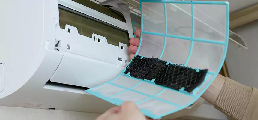 Gentle Ductwork Odor-Control Pet Dander Duct Cleaning in Sherman, TX