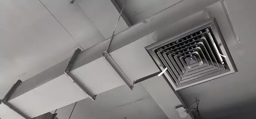 Our Rodent Droppings In Vents Services in Sherman, TX