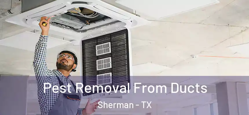  Pest Removal From Ducts Sherman - TX