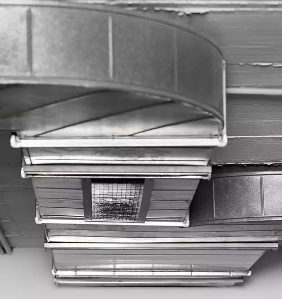 Professional Air Duct Pet Hair Removal in Sherman, TX