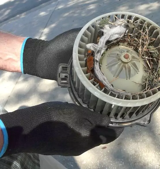 About Air Duct Rat Removal in Sherman, TX