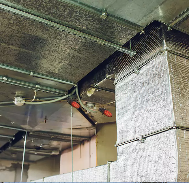 Why Homeowners & Businesses Trust Us in Sherman, TX?