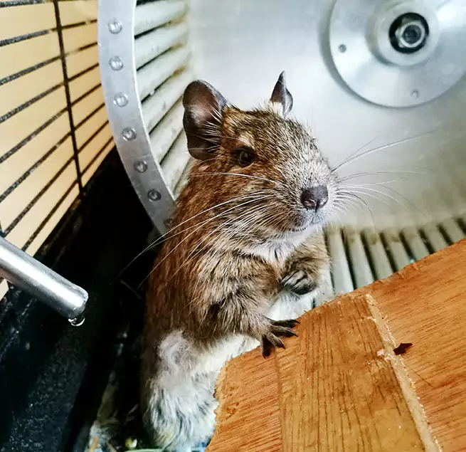 Why Homeowners & Businesses Trust Us Sherman, TX