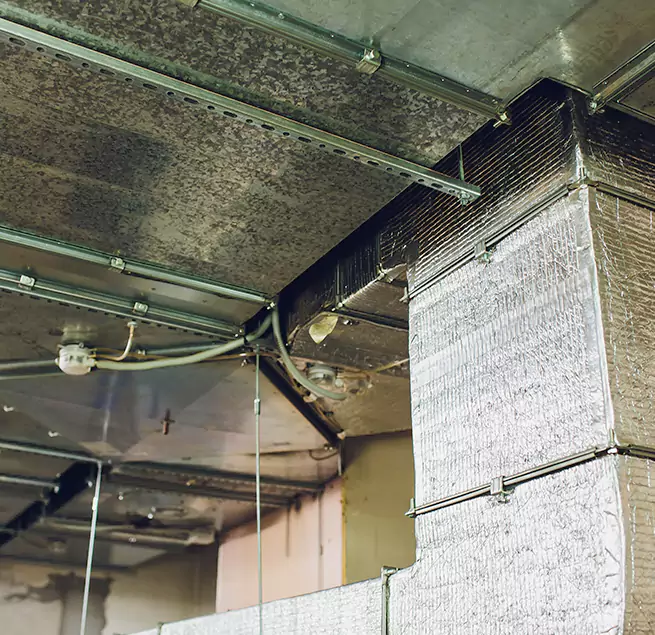 Why Homeowners & Businesses Trust Us in Sherman, TX?